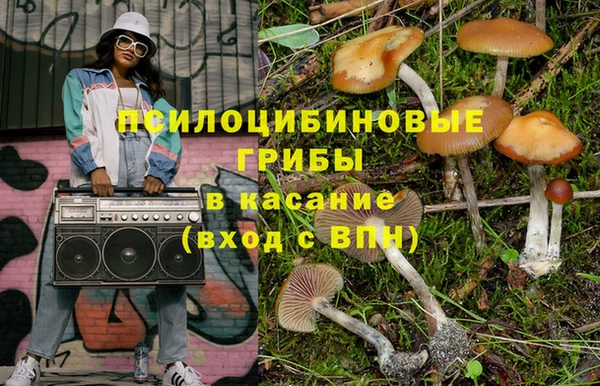 прущая мука Богданович